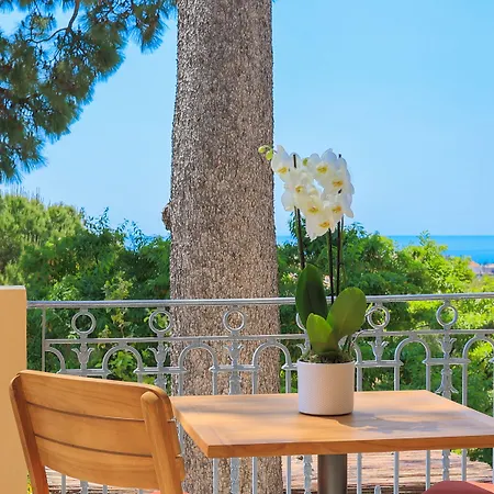 Petit Palais Hotell Nice